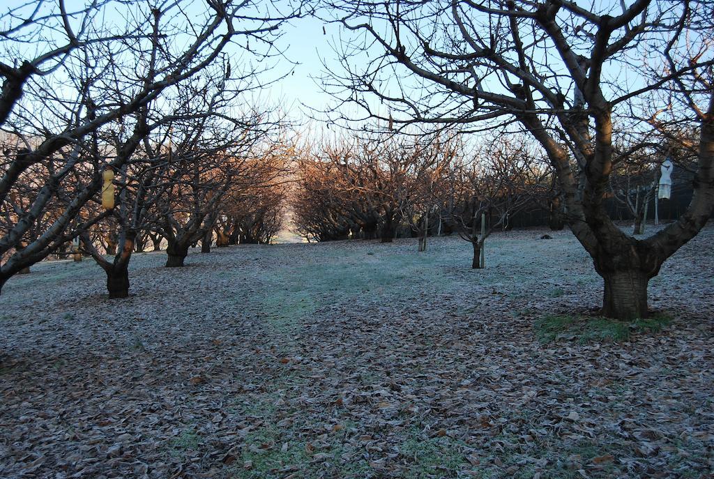 Tenuta Fortelongo Fara Vicentino Exterior foto